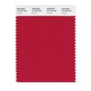 PANTONE Smart 19-1762X Color Swatch Card, Crimson