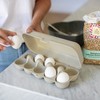 EGGS TO GO Egg Box Natural Desert Sand