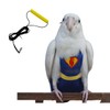 HayKiki Bird Diapers and Parrot Flight Suit Clothes with Leash,