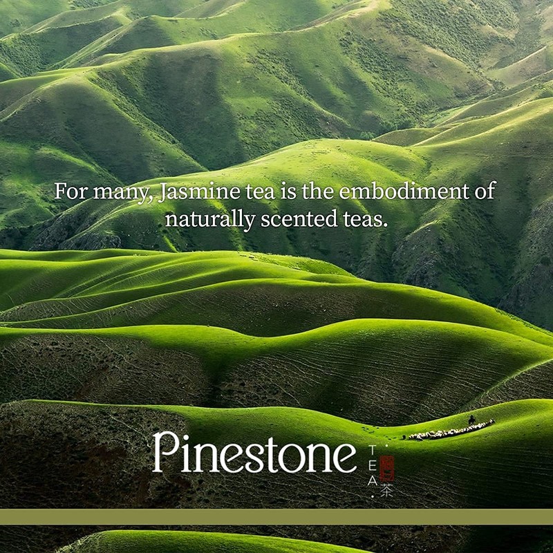 Pinestone Tea - Loose-leaf Chinese Green Tea, Jasmine. Pinestone Tea
