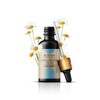 BotanyRoom Hyaluronic Acid Serum: Your Ultimate Elixir for Hydrated, Youthful,