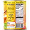 Rani Mango Pulp Puree (Makes Mango Lassi Shakes) Kesar Sweetened