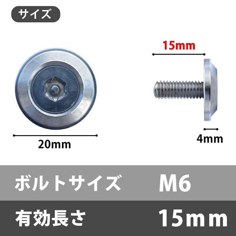 EVOLVERACING Anti-Theft Bolt Set for License Plate Specific Vehicle Inspection