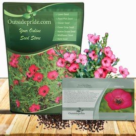 Outsidepride Scarlet Flax Seeds - 5 lbs Annual Flower Seeds for Planting, Self-Seeding, Drought-Tolerant w/Compact Growth, for Small Gardens, Meadows, Borders, or Mass Plantings