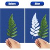 LIGHOON 20 PCS Cyanotype Sun Print Kit, A5 Sensitive Solar