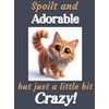 Generic Ginger Cat Kitten funny flexible fridge magnet gift