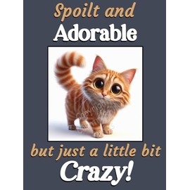 Generic Ginger Cat Kitten funny flexible fridge magnet gift