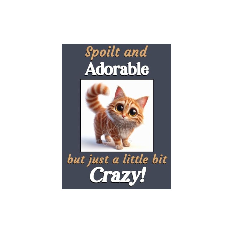 Generic Ginger Cat Kitten funny flexible fridge magnet gift