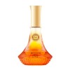 Hybrid & Company Beyond Heat Crush Unforgettable Warm Passion Sweet