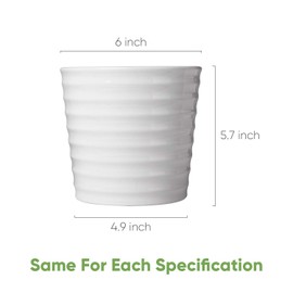 Brajttt Flower Pots - 6 Inch Succulent Pots with Drainage, Indoor/Outdoor Round Planters with Saucer, White Cactus Planters with Hole, 4 Pack