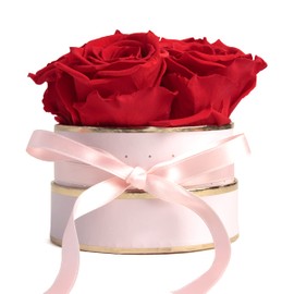 Rosmarie Schulz Heidelberg Rose Box, White Round Infinity Rose, Flower Box Preserved Rose