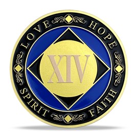 14 Year NA Medallion Gold Plated Narcotics Anonymous Coins Birthday Anniversary Token Recovery Gift