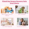 FEimaX Dog & Cat Post-Surgery Protective Onesie - Spay/Neuter Recovery