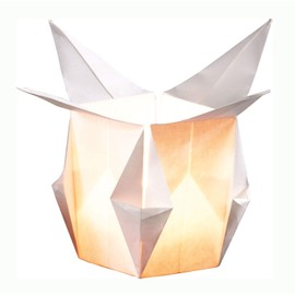 folia 42300 Folding Sheets Made of Light Paper, White, Approx. 30 x 30 cm, 12 Sheets, Flame Retardant Paper, Includes Folding Instructions