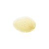 Classic Shampoo Root Booster / 클래식 샴푸 Root Booster