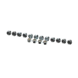 Aaon S17216 Screw Kit for Combustion Motor