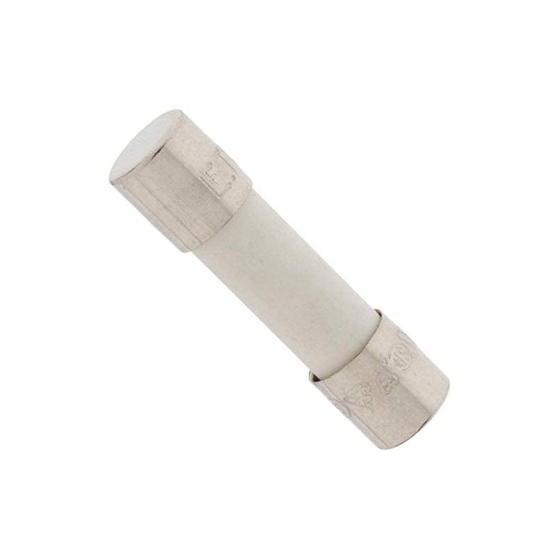 Fuses Replacements for Generac Replaces for 10000005117 6.3A 250VAC 5MMX20MM