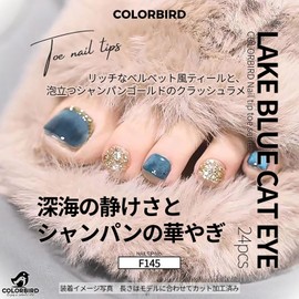 COLORBIRD Foot Nail Tips, 24 Sheets, Nail Tips, Foot Nail Cute, (F145, Feet)