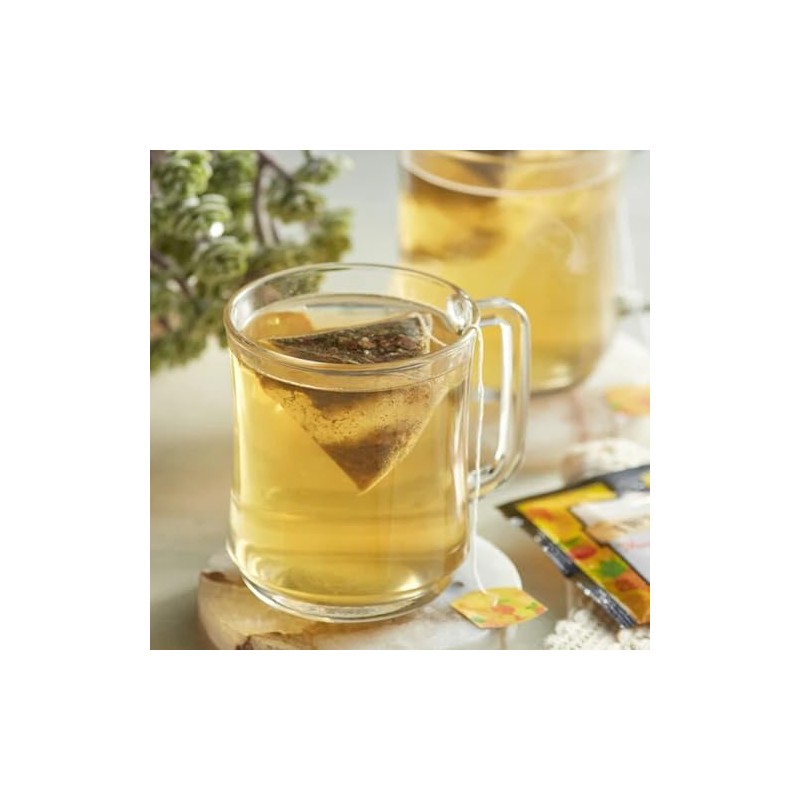 Twinings Discovery Collection Mango & Pineapple Infusion Tea, 30 Large
