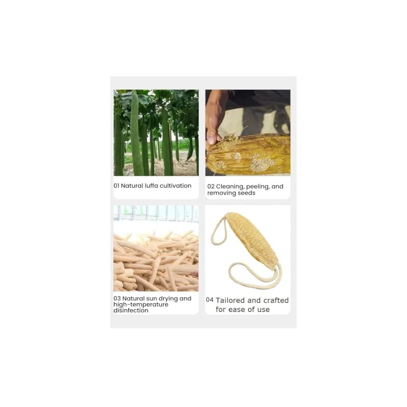 Estropajo corporal de lufa natural 100% de origen vegetal, esponja