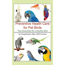 Preventative Health Care for Pet Birds: The Essentials for a Healthy Bird