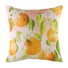 Evans Lichfield Fruit Oranges Cushion Cover, Multi, 43 x 43cm