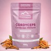 Wildmountain Cordyceps Militaris en Polvo 100g Hongo Adaptógeno | Suplemento