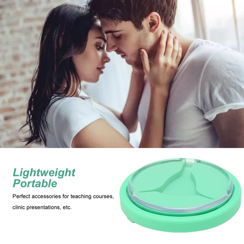 IUD Training Model Safe Simulator Intrauterine Contraceptive Device for Women