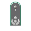 Lieutenant Colonel Shoulder Flap German Army Rank Sticker 10 x