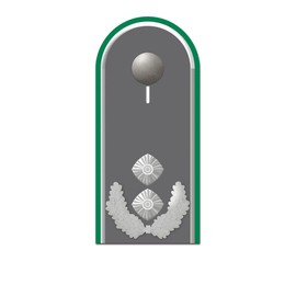 Lieutenant Colonel Shoulder Flap German Army Rank Sticker 10 x 4 cm #A5567