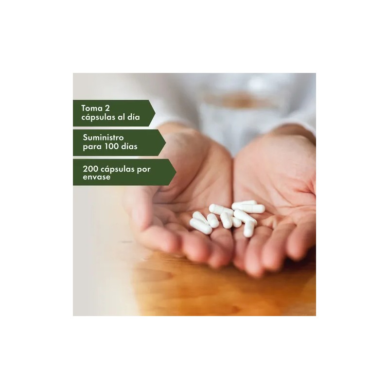 Immun-T ResistAid con 300mg Vitamina C y Zinc - 200