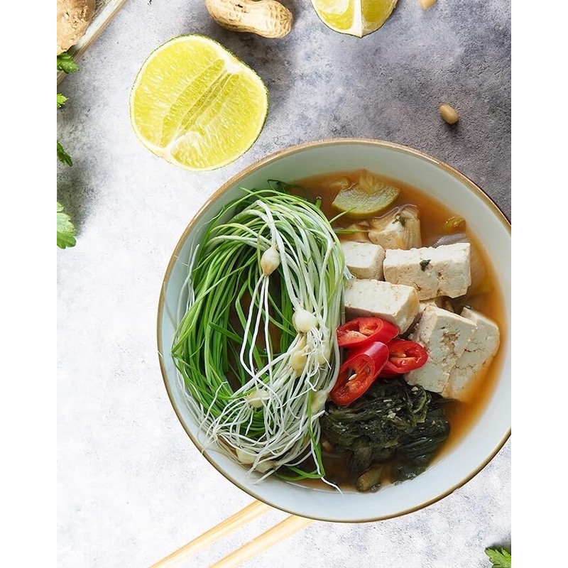 Sempio Tojang Korean Original Traditional Soybean Paste Miso 450g Soup
