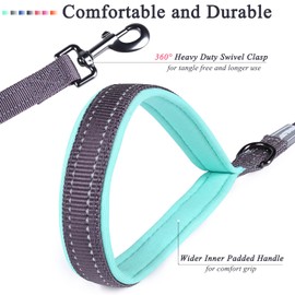 VIVAGLORY Dog Lead, Dog Walking Lead with Comfortable Padded Handle, Reflective for Safety, Heavy Duty Training Lead for Medium & Large Dogs