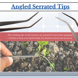 Succulent Bonsai Tweezers 6" Stainless Steel Nippers with Angled Serrated Tips for Indoor and Outdoor Garden Planting Tool Multipurpose Pliers Suitable for Seeding Flowers, Cultivation, Trimming