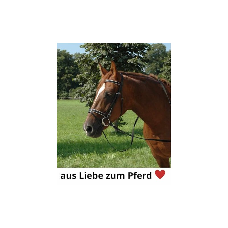 Amesbichler Reitsport Breastplate with Martingale 1A *