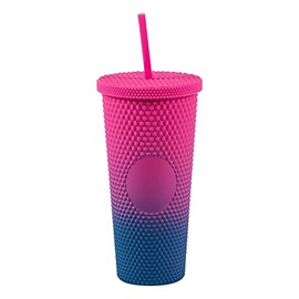 Fun Express Pink & Blue Plastic Tumbler with Lid & Straw