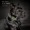 HEELE Dog Collar, Reflective Dog Collar, Soft Neoprene Padded Breathable