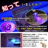 Phoenix Small LED Portable Microscope (High Magnification 200x - 240X)