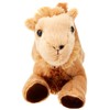 Aurora, 31726, Mini Flopsies Camel, 8In, Soft Toy, Biege, Caramel,