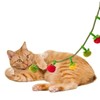 Catnip Toys for Cat,48cm with Bells and 100% Pure Organic