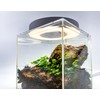 Generic Tiny Terrarium Kit for Springtails (4x4 inch) - BioActive