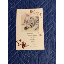 American Greetings Sleeping Cat Wishing You  Birthday  Moments Greeting Card