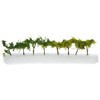 Faller Vigneto 86 Pezzi, Plastica, Kit di Montaggio, Sculpture, Green,