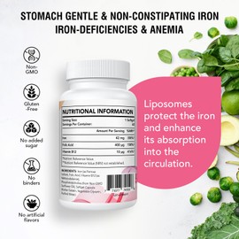 Gozitepe Liposomal Iron Supplement (as Ferrous Sulfate) with Folic Acid 400mcg and Vitamin B12 10mcg, Increase Iron Levels for Adults, Superior Absorbed and Stomach Friendly (60 Count (Pack of 1))