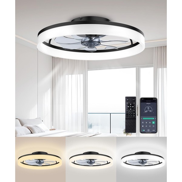 AQUBT Ceiling Fans with Lights and Remote, 20" Modern Low