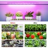 Grow Lights for Indoor Plants