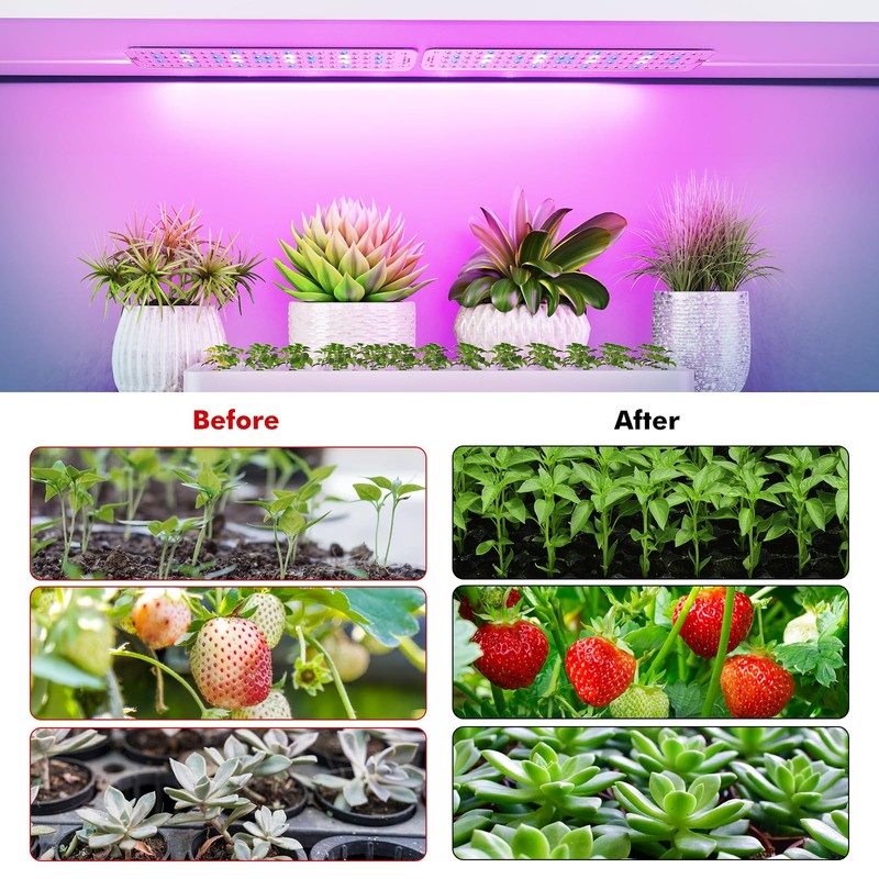 Grow Lights for Indoor Plants