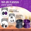 Fancy Pets Set de 2 Platos para Gatos Inclinados y