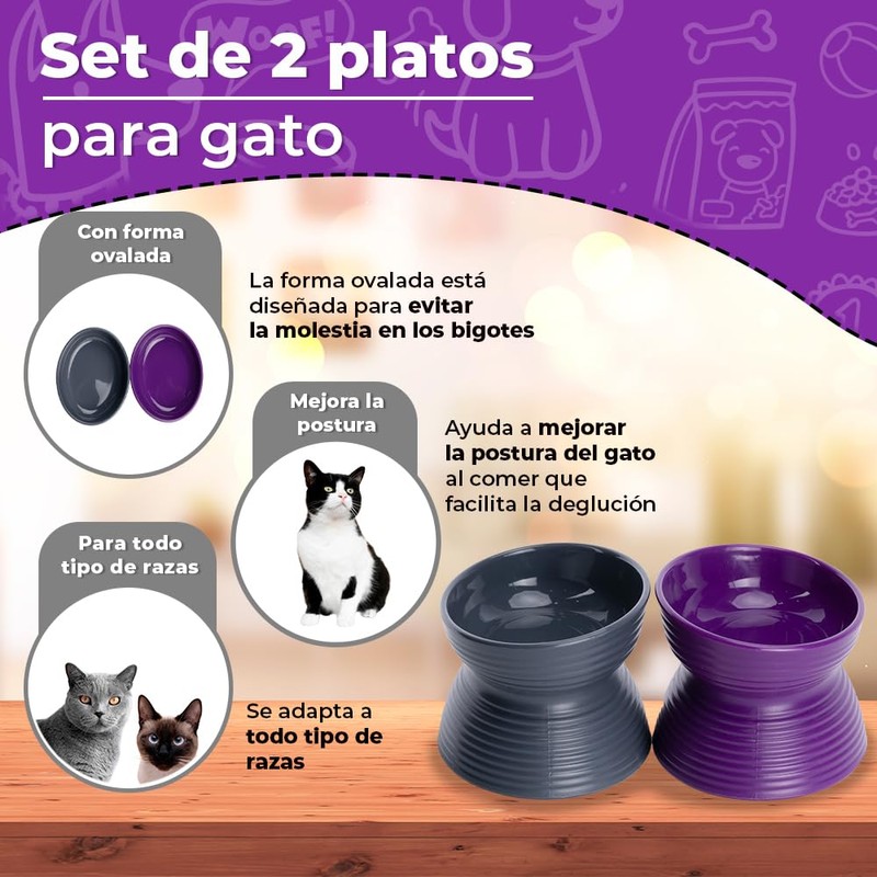 Fancy Pets Set de 2 Platos para Gatos Inclinados y