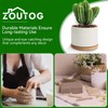 ZOUTOG Succulent Pots 3.15 Inch,4 Pack Succulent Planters,Small Pots for